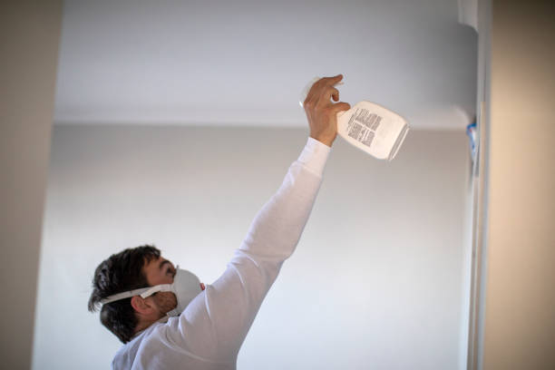 Best Professional Mold Removal  in Swartz, LA