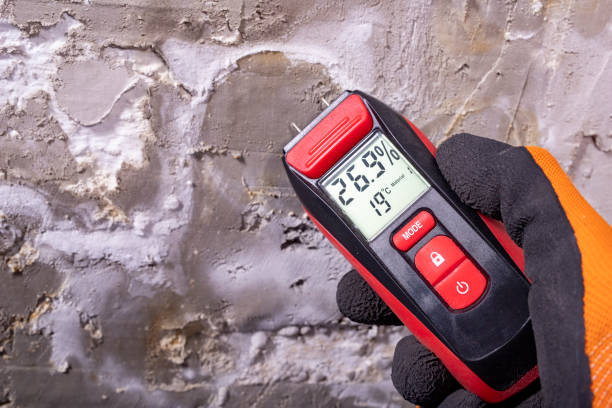 Best Toxic Mold Removal  in Swartz, LA